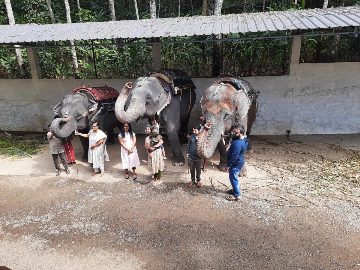 Sopanam Heritage Thekkady Exteriér fotografie